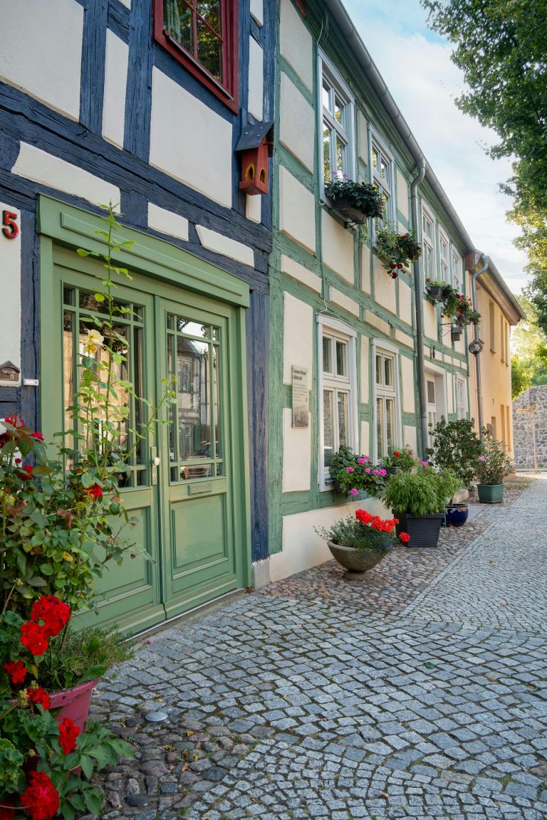 10 pexels guvo59 28240318